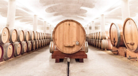 Image for Wine Australia launches new “Interactive Insights” resource