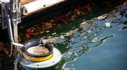Image for Seabin and Coke to collect data and rubbish from Sydney Harbour through pilot project