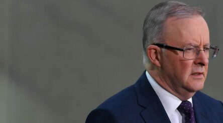 Image for Albanese promises support for young entrepreneurs to develop startups