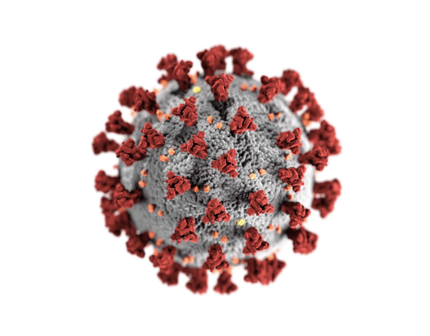 Coronavirus_Covid-19
