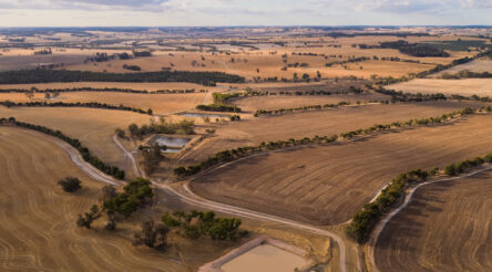 Image for WOA to develop new plant-based protein products