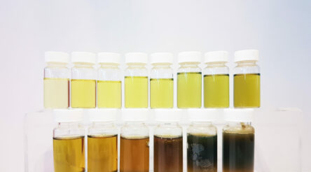 Image for Why Australia needs refineries and plastics manufacturers for a circular plastics future