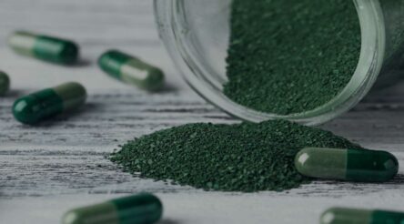 Image for Marine bioproducts, heavy industry decarbonisation R&D get backing in CRC round 22