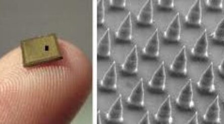 Image for Australian needle-free system demonstrates potential for delivering Covid-19 vaccine