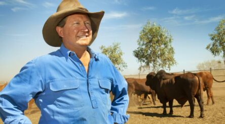 Image for Champagne of the energy transition: Australia could supply large quantities of green hydrogen as early as 2023