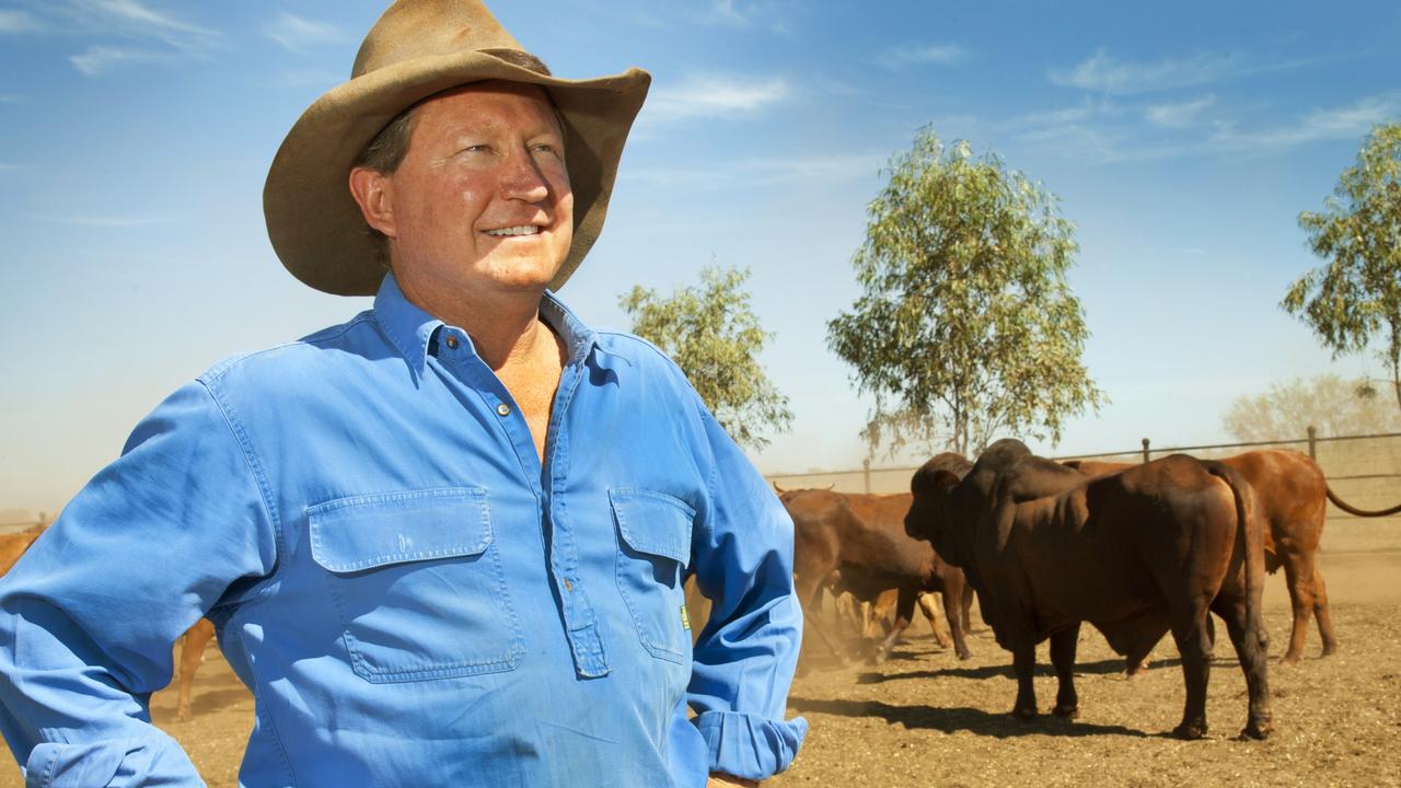 v3imagesbinc11f5e6810b4a0dac0f68597f3b669af-diszigtyi8oux5g2qv2_t1880