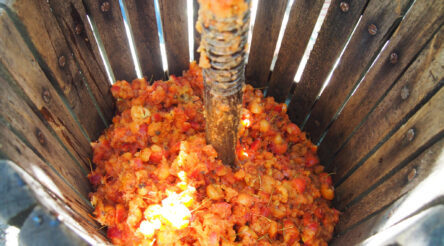 Image for Greener solvents help get more value out of apple waste