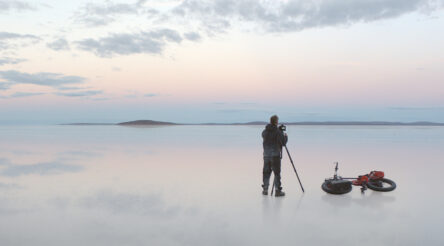 Image for Marketing for manufacturers – How Colorbond succeeds, in depth