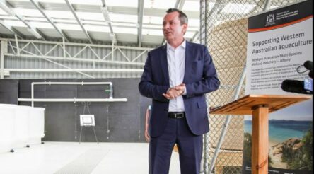 Image for WA’s $100m new industries fund