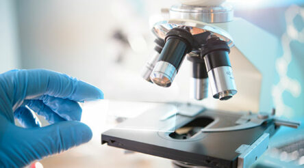 Image for 100 new Future Fellowships awarded, including for quantum technology, antimicrobial research