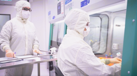 Image for New regenerative medicine reports detail current capability, capacity and clinical trials, future potential