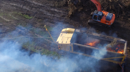 Image for Circular economy program turns feral olives into vineyard biochar