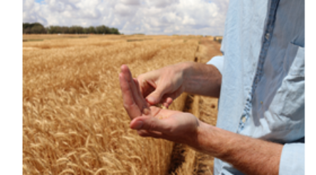 Image for CSIRO launches $150 million food industry missions