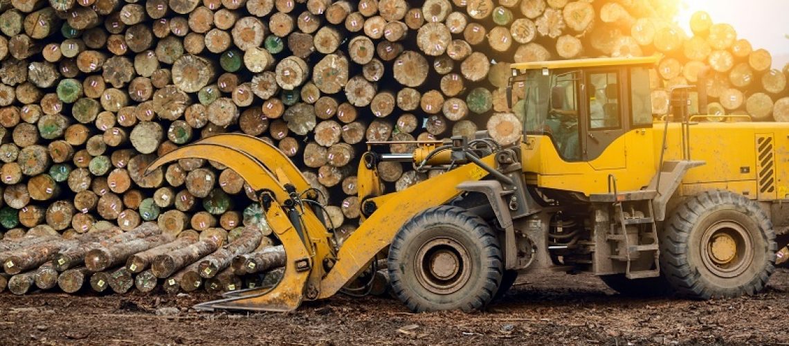 wood-processing-factory-1-pb6qya1n8x5e1yei6ag1r6lb3l7lxdqdh2le5kcwp4