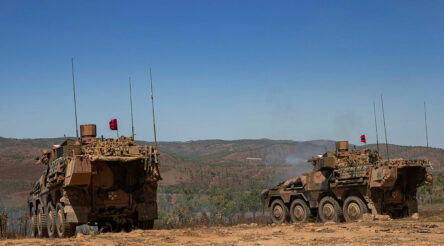 Image for Boxer introduced with live fire exercises