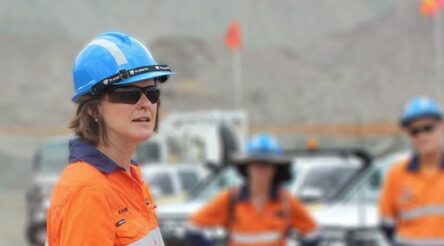 Image for Fortescue and Incitec Pivot study green ammonia production