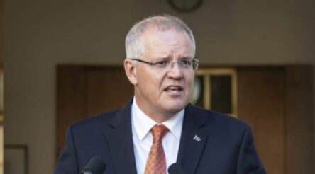 Image for The magical land of Oz – where net zero means doing nothing new