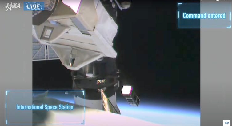 file-20211007-27-1fxi6es