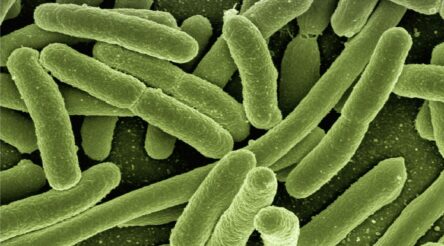 Image for Monash University researchers part of promising new immunotherapeutic development