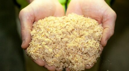 Image for Bordertown’s bioenergy breakthrough