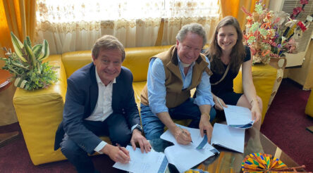 Image for Going Dutch – Fortescue planning Australian solar PV factory