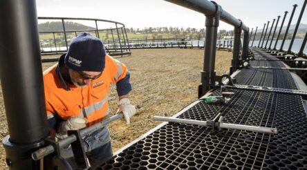 Image for Eight Tasmanian manufacturers awarded grants under Accelerating Growth program