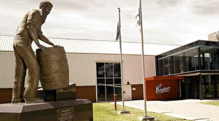 Image for Coopers expands, beer sales up
