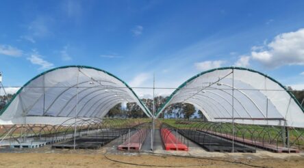 Image for Cannatrek leads the way on sustainability by embracing innovation and the environment