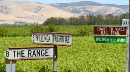 Image for Sour taste on the palate from Australia’s latest free trade agreement