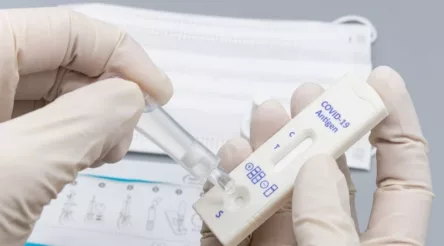 Image for Manufacturers ‘in limbo’ as local RATs head overseas