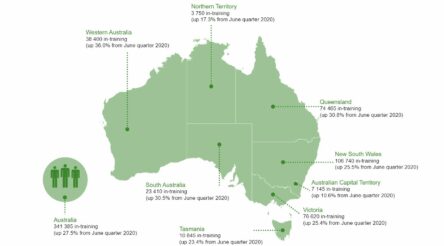 Image for Apprentice and trainee commencements continue to climb