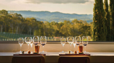 Image for Wine sales slump as China tariffs take their toll