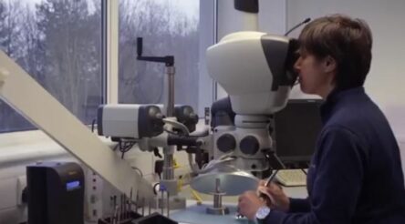 Image for Fortescue plans zero emission Infinity Train