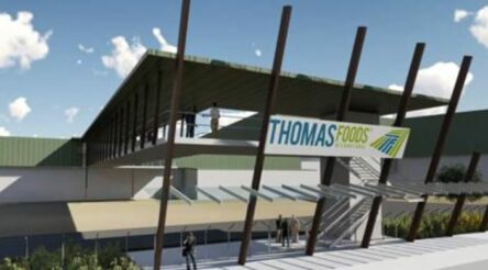 Image for Meat giant TFI’s $378m move on plant-based food