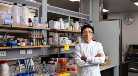 Image for New atom-thin cathode coating could lengthen LIB lifespan: UQ