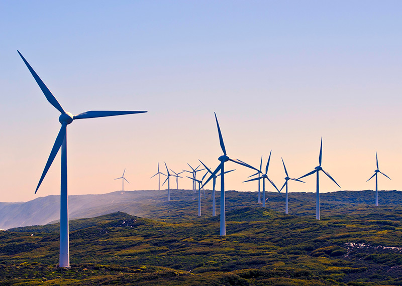 We have to stop burning fossil fuels and do it now