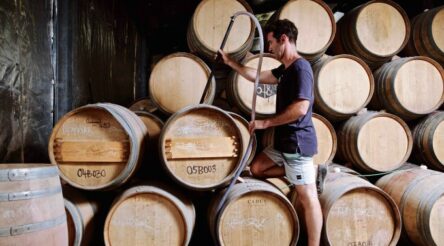 Image for Wine industry body awarded $1.8 million grant to build exports