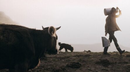 Image for Maggie Beer looks to offload dairy businesses