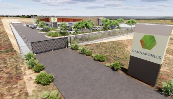 Collie’s medicinal cannabis facility a step closer