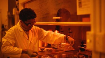 Image for MicroTau receives $2 m CEFC investment to develop shark-inspired coating for planes and ships