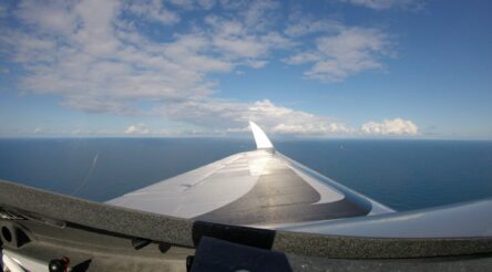 Image for Frontiers in additive manufacturing: Riblets and wings