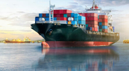 Image for New head of Export Finance Australia appointed