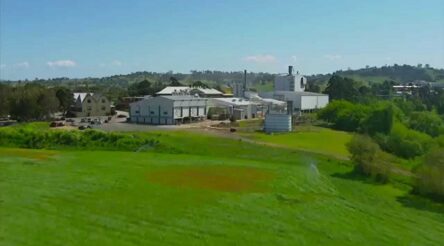 Image for Rising milk price may slice Bega’s profits