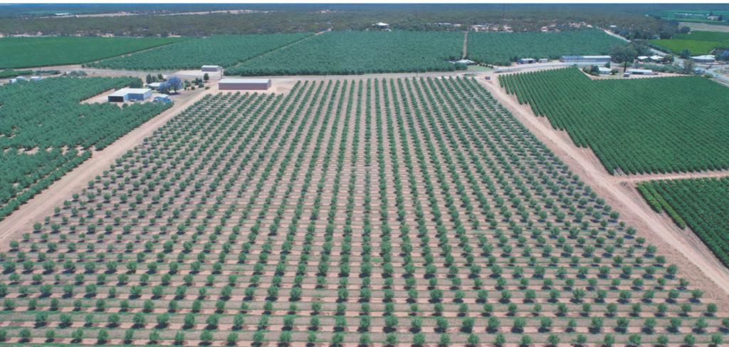 @AuManufacturing Conversations episode 4 -- John Mellowes from PyroAg