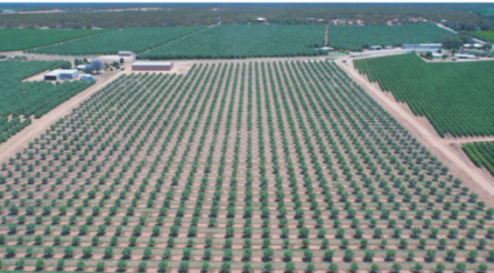 Image for @AuManufacturing Conversations episode 4 — John Mellowes from PyroAg