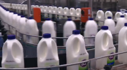 Image for A2 Milk’s fortunes sour in the United States