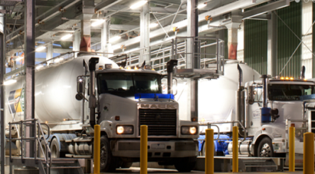 Image for Ridley’s strong performance following reorganisation