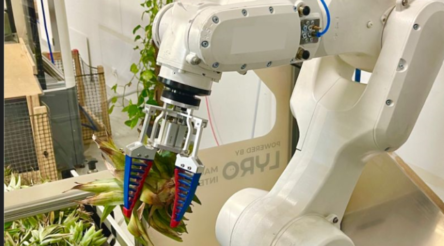 Image for Lyro Robotics capital raise to fund 20 robots