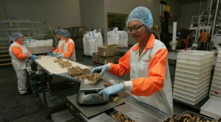 Image for Food manufacturing managed to grow in 2020/2021, but that’s likely over: AFGC