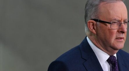 Image for Albanese announces 180,000 fee-free TAFE places